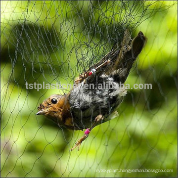 bird mist nets for catching bird